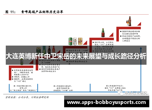 大连英博新任中卫宋岳的未来展望与成长路径分析