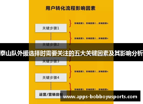 泰山队外援选择时需要关注的五大关键因素及其影响分析