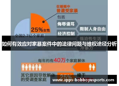 如何有效应对家暴案件中的法律问题与维权途径分析