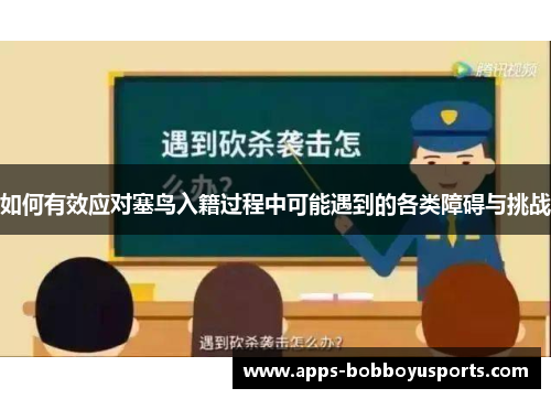 如何有效应对塞鸟入籍过程中可能遇到的各类障碍与挑战