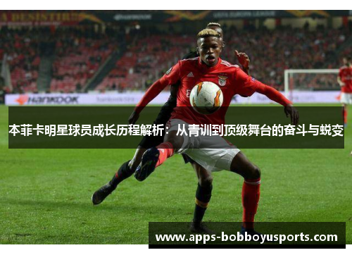 本菲卡明星球员成长历程解析：从青训到顶级舞台的奋斗与蜕变