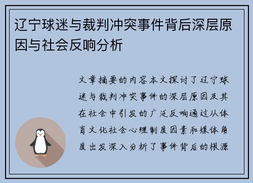 辽宁球迷与裁判冲突事件背后深层原因与社会反响分析