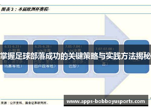 掌握足球部落成功的关键策略与实践方法揭秘