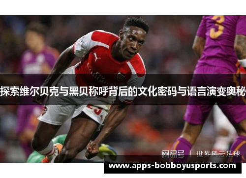 探索维尔贝克与黑贝称呼背后的文化密码与语言演变奥秘