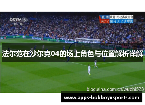 法尔范在沙尔克04的场上角色与位置解析详解