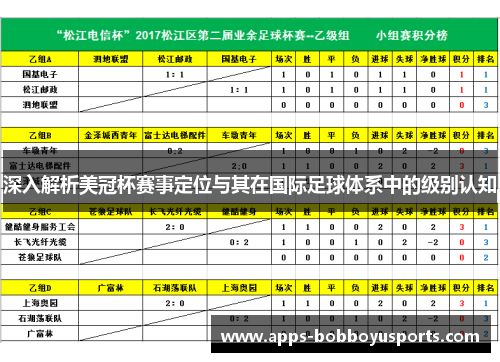 深入解析美冠杯赛事定位与其在国际足球体系中的级别认知
