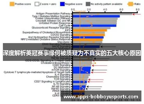 深度解析英冠赛事缘何被质疑为不真实的五大核心原因 深度解析英冠赛事缘何被质疑为不真实的五大核心原因