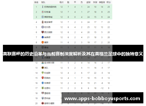 英联赛杯的历史沿革与当前赛制深度解析及其在英格兰足球中的独特意义